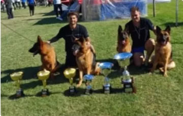 Ovejeros alemanes de Necochea: la preparación final para Mendoza