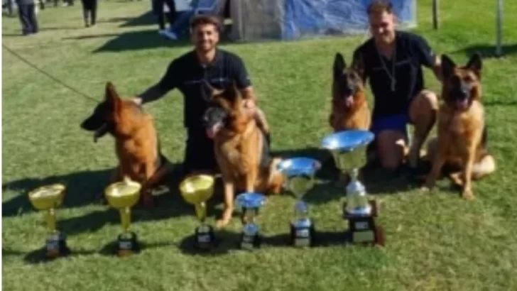 Ovejeros alemanes de Necochea: la preparación final para Mendoza