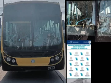 Discutió con un chofer de colectivo y luego le rompió el parabrisas