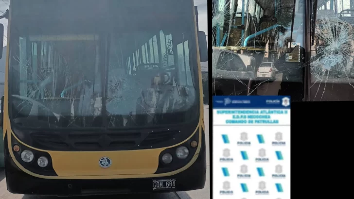 Discutió con un chofer de colectivo y luego le rompió el parabrisas