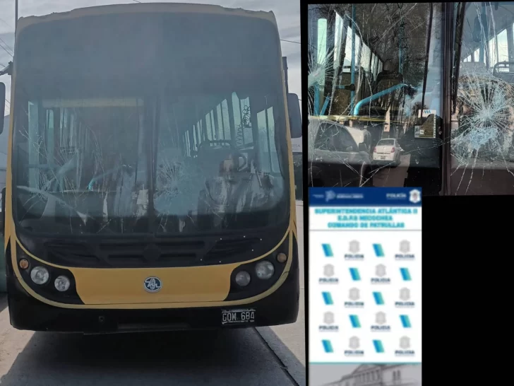 Discutió con un chofer de colectivo y luego le rompió el parabrisas