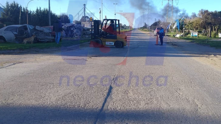Limpieza y reordenamiento en dependencia vial de Quequén