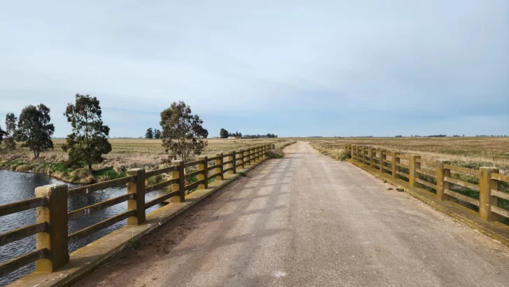 Coordinan trabajos para mejorar la calzada de los caminos rurales