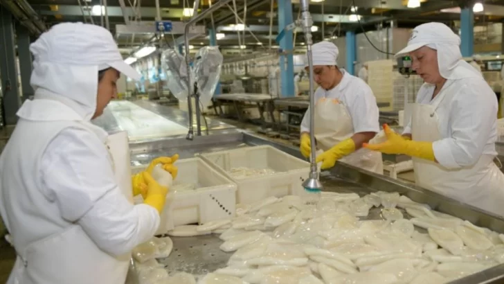 La temporada de pesca de calamar rompió el récord de capturas en 17 años