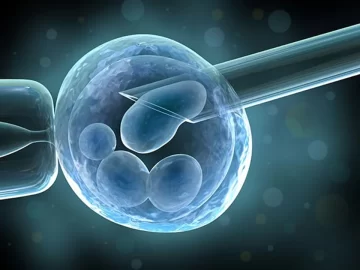 Una nueva IA predice la calidad de los óvulos y es más precisa que los médicos