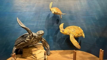 sala-ciencia-728x410