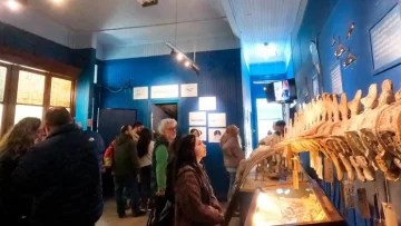 Ciencia marina, educación e identidad local: ya se puede visitar “Joselito y las Tortugas Marinas” en Quequén