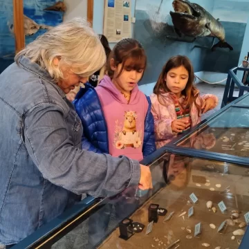 Nuevo horarios en los Museos y se harán arreglos en el techo del Histórico Regional