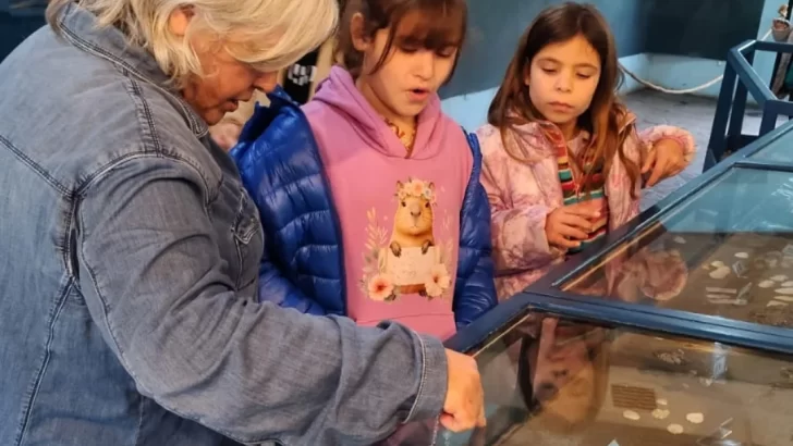 Nuevo horarios en los Museos y se harán arreglos en el techo del Histórico Regional