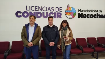 Ya se pueden tramitar a las licencias de conducir en un sólo lugar