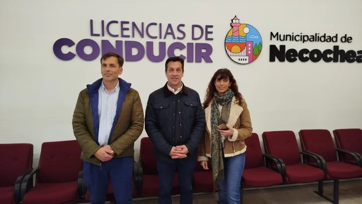 Ya se pueden tramitar a las licencias de conducir en un sólo lugar