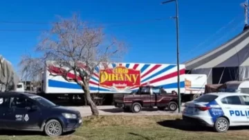 Rescataron a más de diez animales tras una denuncia por maltrato en un circo: “Vivían entre sus heces”