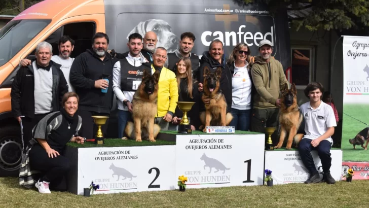 “Los ovejeros alemanes de Necochea, dueños de Mar del Plata: victoria total en los podios”