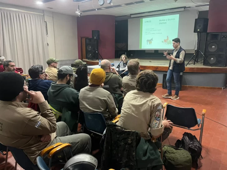 Preparan al personal municipal ante la aparición de Pumas en el Parque