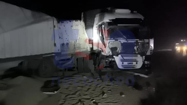 Accidente fatal en Ruta 228: un camionero fallecido