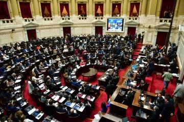 Diputados aprobó el rechazo al veto de Milei a la emergencia en Discapacidad