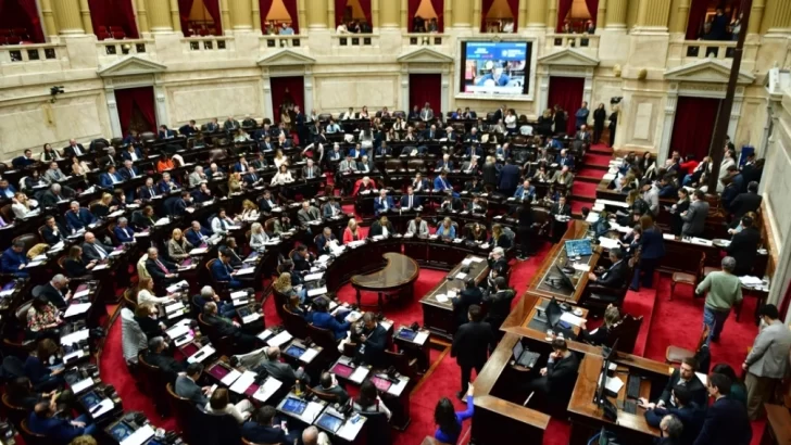 Diputados aprobó el rechazo al veto de Milei a la emergencia en Discapacidad