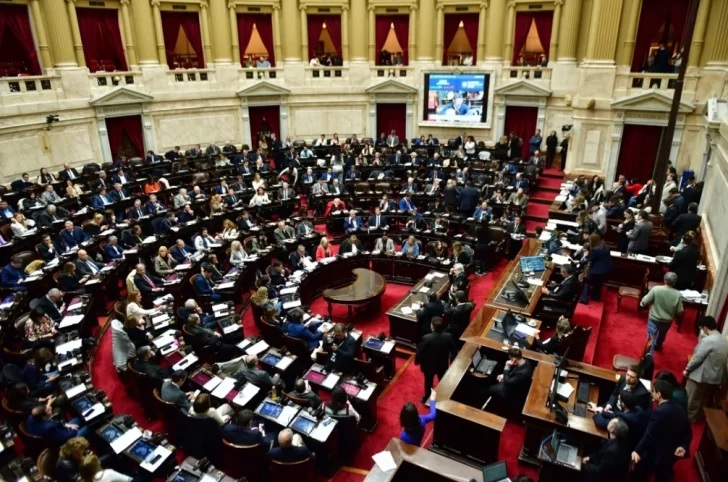 Diputados aprobó el rechazo al veto de Milei a la emergencia en Discapacidad