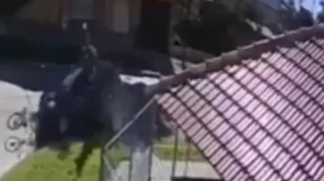 Video: un conductor atropelló a un ciclista y se dio a la fuga