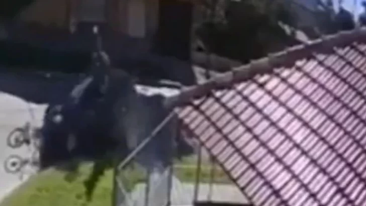 Video: un conductor atropelló a un ciclista y se dio a la fuga