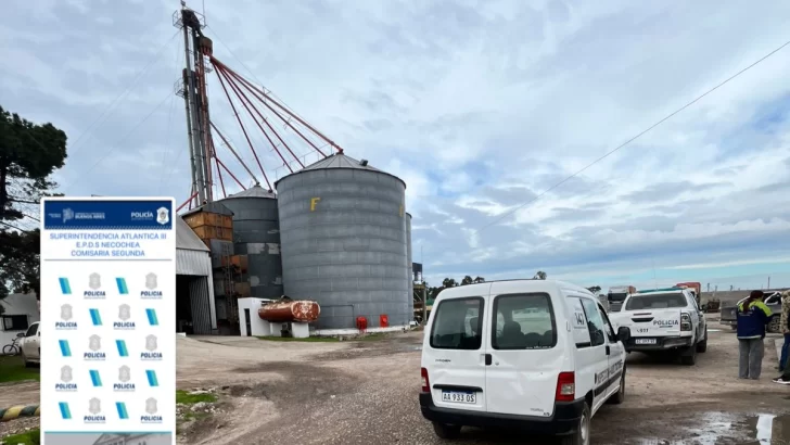 Realizan controles en predios rurales por presunta actividad cerealera no habilitada