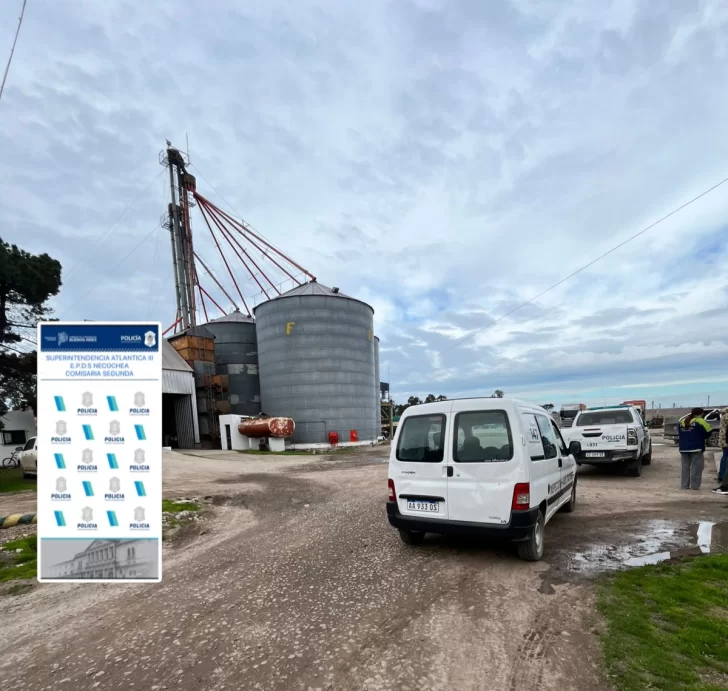 Realizan controles en predios rurales por presunta actividad cerealera no habilitada