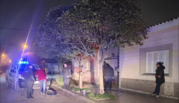 Los atraparon robando materiales de construcción y uno tenía pedido de captura activo