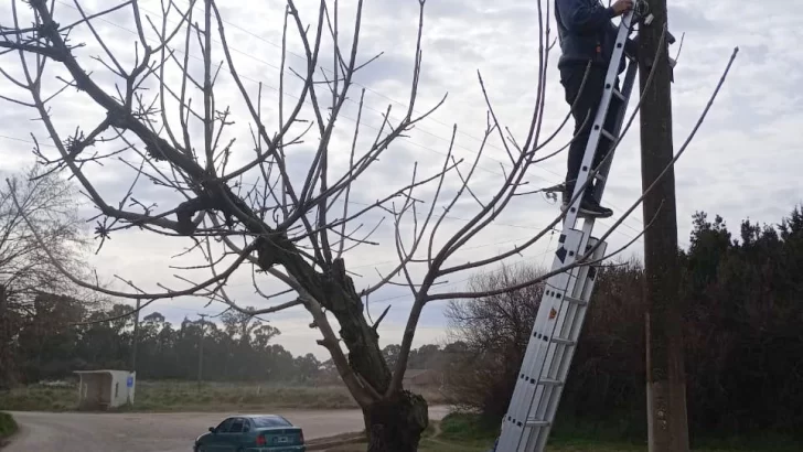Renuevan equipamiento y amplían sistema de cámaras en las localidades del distrito