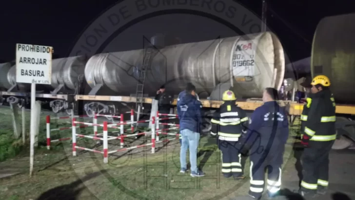 Tragedia en las vías: una mujer murió arrollada por el tren mientras paseaba a sus perros.