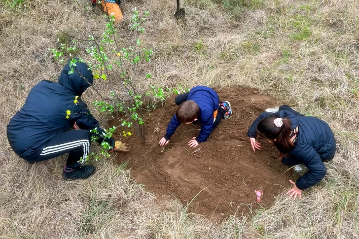 Alumnos plantaron nuevas especies en el Parque