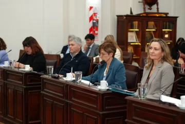 Compraron más luminarias para calles y avendias