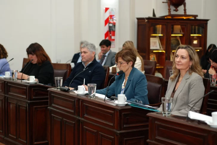Compraron más luminarias para calles y avendias