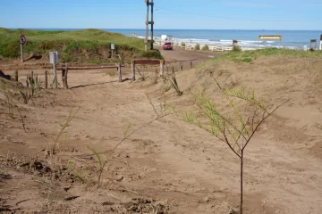 30-09-FOTO-jornada-plantacion4-728x485