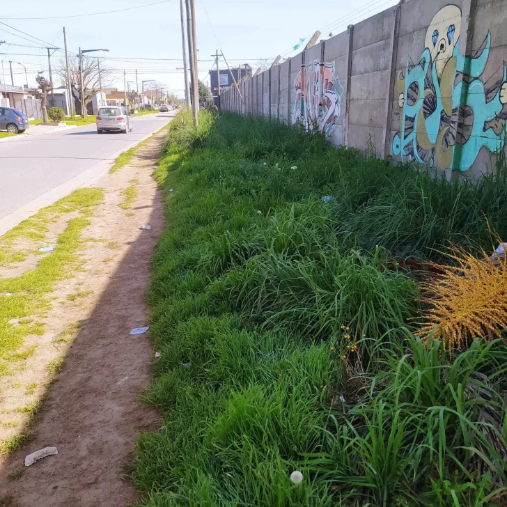 Vecinos denuncian basural en la vereda de la cancha de Rivadavia
