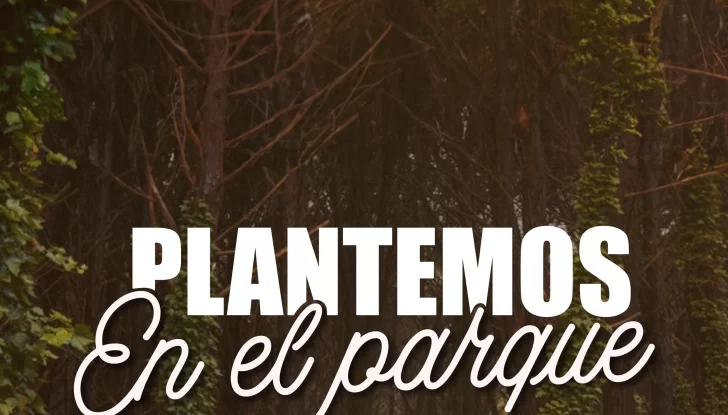 Invitan a la comunidad a una jornada de plantación en el Parque Miguel Lillo