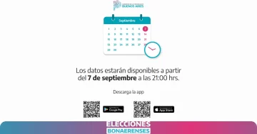 Elecciones en Provincia: cómo descargar la app oficial para seguir los resultados desde las 21 hs