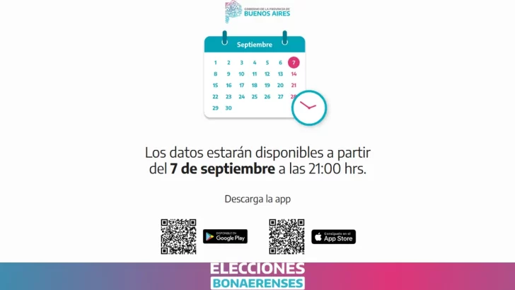 Elecciones en Provincia: cómo descargar la app oficial para seguir los resultados desde las 21 hs