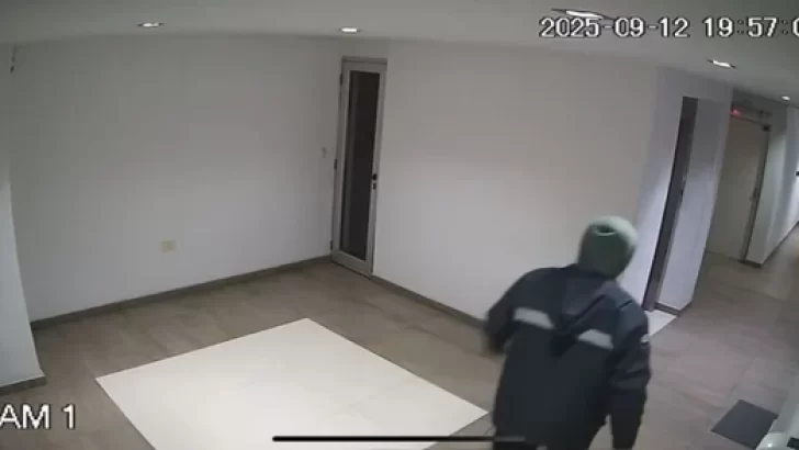 Las cámaras de seguridad registran un violento robo en un edificio