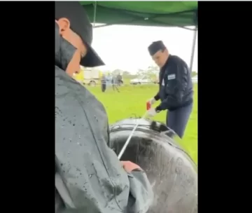 Removieron la chatarra espacial hallada en un campo: de qué se trata