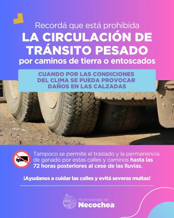 WhatsApp-Image-2025-08-30-at-11.43.06-AM-582x728