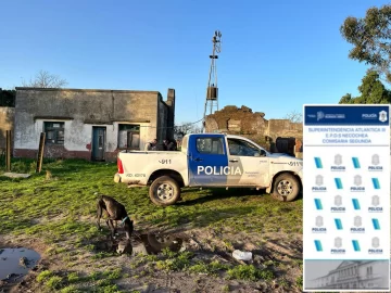 Allanamiento positivo:  aprehenden a un sospechoso
