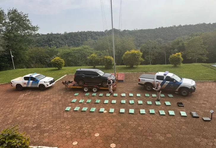 Prefectura asesta duro golpe al narcotráfico: secuestra casi media tonelada de droga