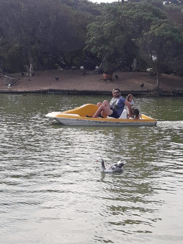 El Lago de los Cisnes