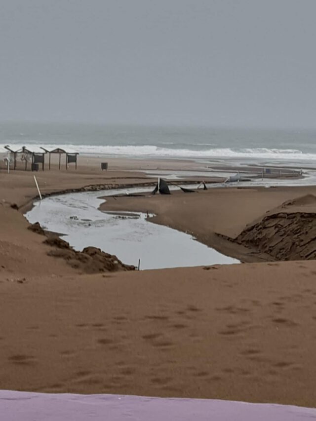 Sudestada en la ciudad