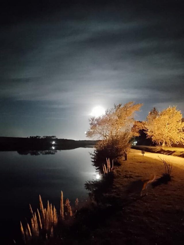 El río místico