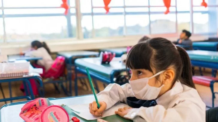 Provincia estudia la vuelta a clases pero primero habrá consultas