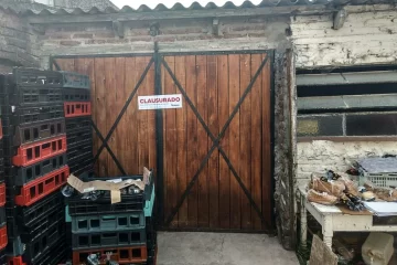 Decomisan lácteos y cierran comercios por falta de higiene