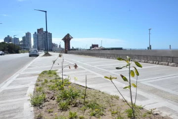 Avanza la construcción de una nueva bajada pública en 2 y 95