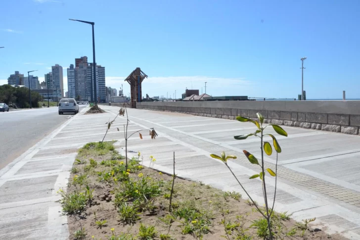 Avanza la construcción de una nueva bajada pública en 2 y 95