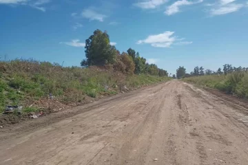 Limpiaron el basural de calle 82 entre 99 y 107